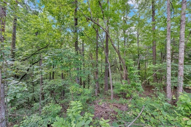 0 Whitestone Dr, Talking Rock, GA 30175