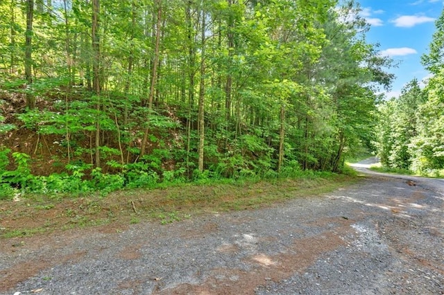 0 Whitestone Dr, Talking Rock, GA 30175