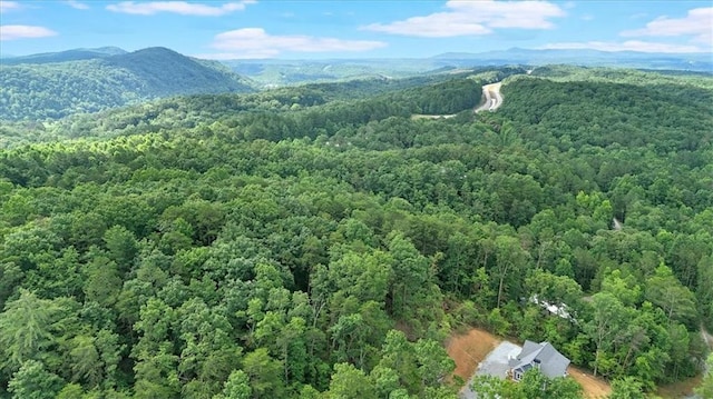 0 Whitestone Dr, Talking Rock, GA 30175