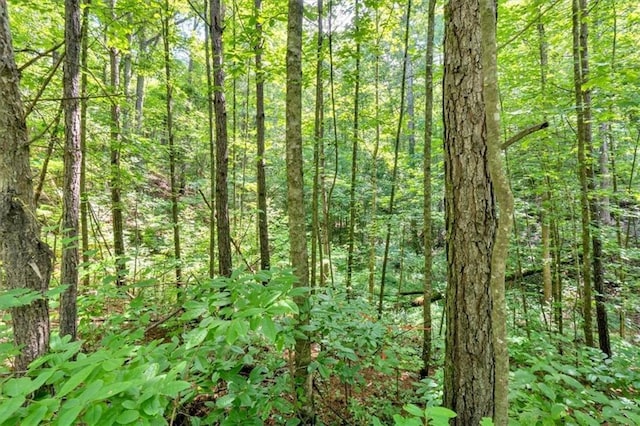 0 Whitestone Dr, Talking Rock, GA 30175
