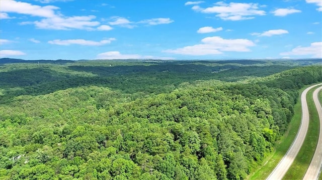 0 Whitestone Dr, Talking Rock, GA 30175