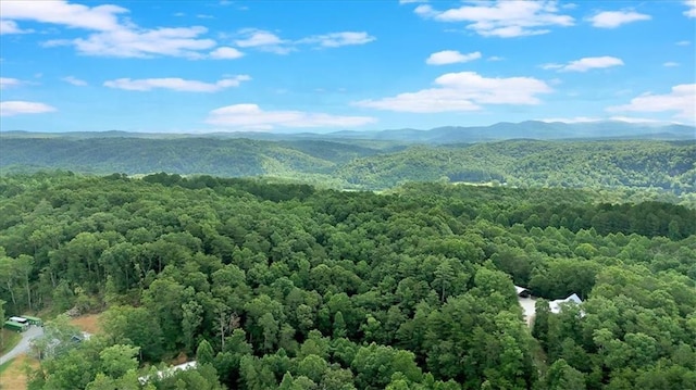 0 Whitestone Dr, Talking Rock, GA 30175