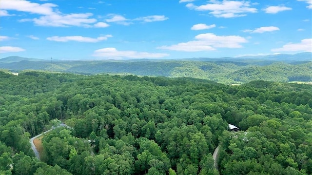 0 Whitestone Dr, Talking Rock, GA 30175