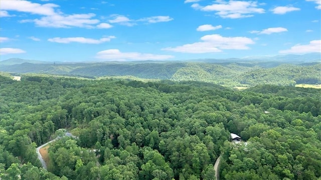 0 Whitestone Dr, Talking Rock, GA 30175