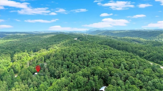 0 Whitestone Dr, Talking Rock, GA 30175