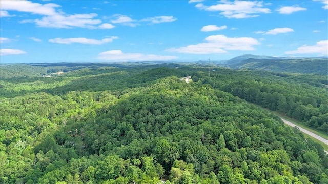 0 Whitestone Dr, Talking Rock, GA 30175