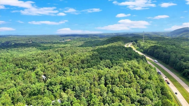 0 Whitestone Dr, Talking Rock, GA 30175