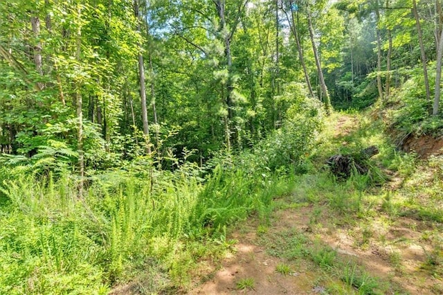 0 Whitestone Dr, Talking Rock, GA 30175
