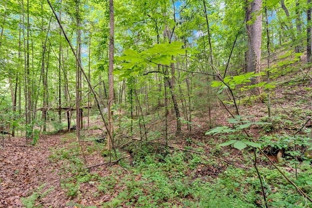 0 Whitestone Dr, Talking Rock, GA 30175