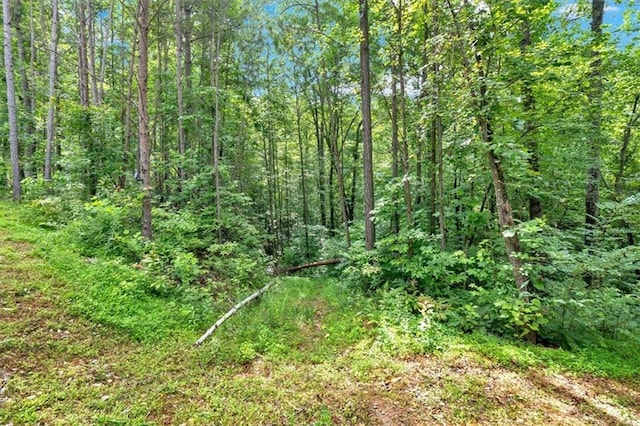 0 Whitestone Dr, Talking Rock, GA 30175