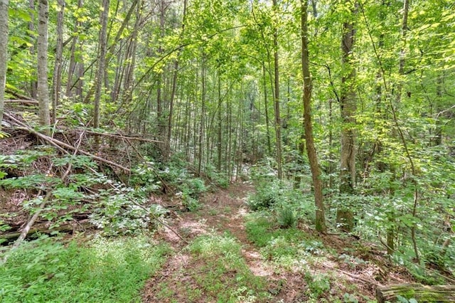 0 Whitestone Dr, Talking Rock, GA 30175