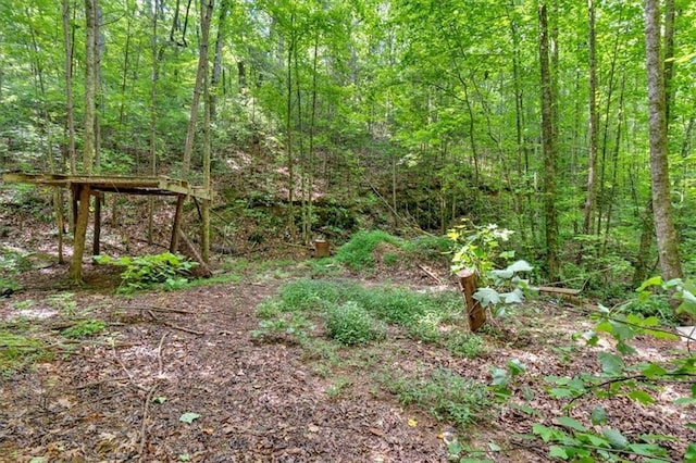 0 Whitestone Dr, Talking Rock, GA 30175