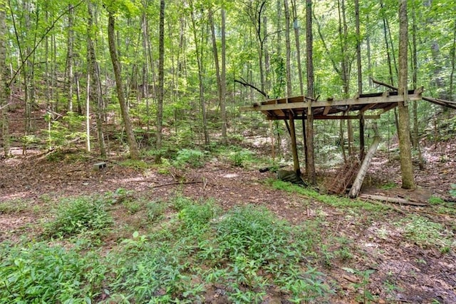 0 Whitestone Dr, Talking Rock, GA 30175