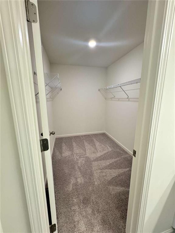 spacious closet with carpet floors