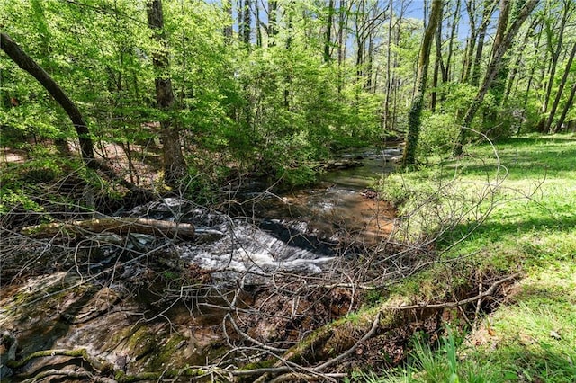 1755 Pinetree Pass Ln SW, Lilburn, GA 30047 - view of landscape