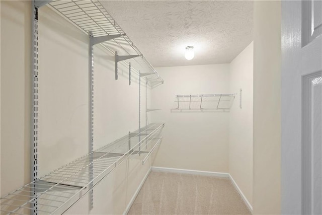 2991 Greyhawk Ln, Cumming, GA 30040 - walk in closet with carpet flooring