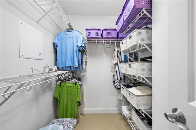 spacious closet featuring carpet floors