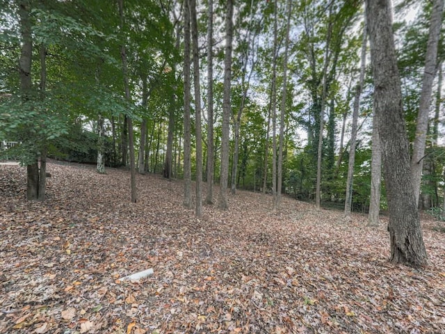 3771 Club Dr NW, Kennesaw, GA 30144 - view of undeveloped land