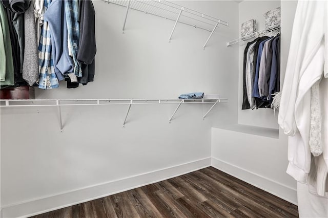 spacious closet with dark wood-type flooring