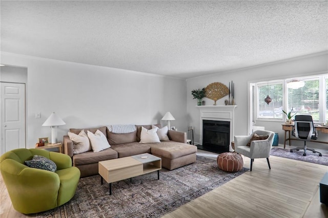 1303 Wingate Way, Atlanta, GA 30350 - living room featuring wood finished floors, a textured ceiling, a glass covered fireplace, and crown molding