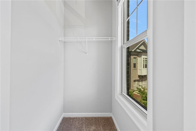 1858 Glenview Park Cir, Duluth, GA 30097 - spacious closet with carpet