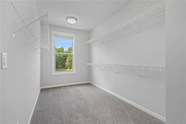 1858 Glenview Park Cir, Duluth, GA 30097 - spacious closet featuring carpet
