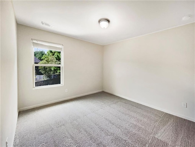 spare room featuring carpet floors