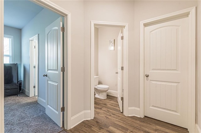 bathroom with toilet and hardwood / wood-style floors