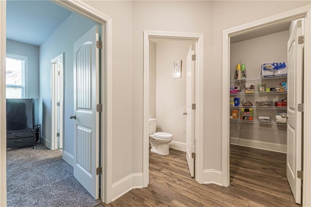 bathroom with hardwood / wood-style floors and toilet