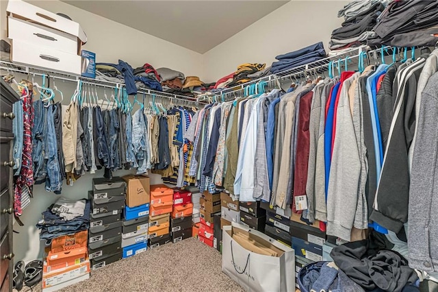 spacious closet featuring carpet