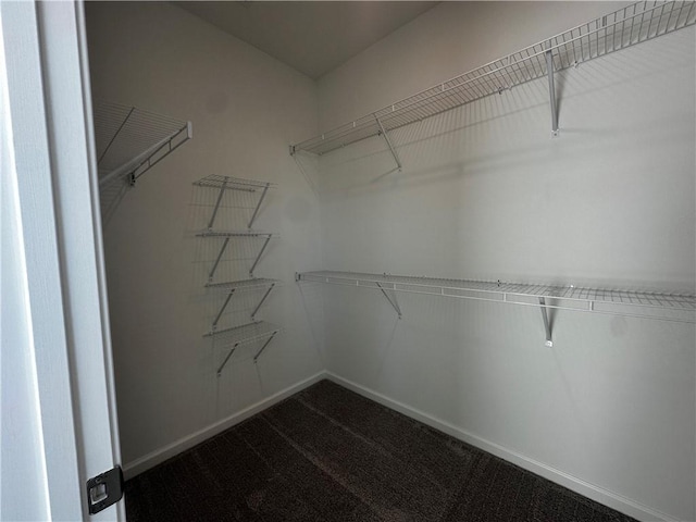 508 Healy Dr Unit 70, Cumming, GA 30040 - spacious closet featuring dark carpet