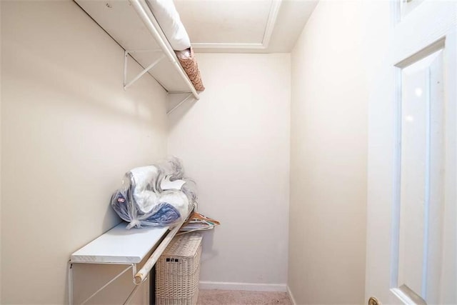 spacious closet featuring light colored carpet