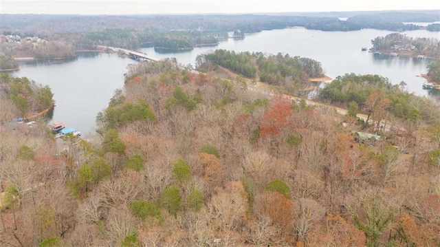 aerial view with a water view and a view of trees