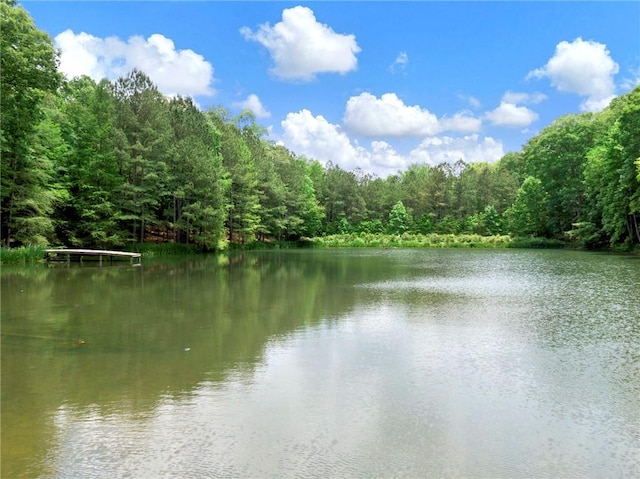 view of water feature