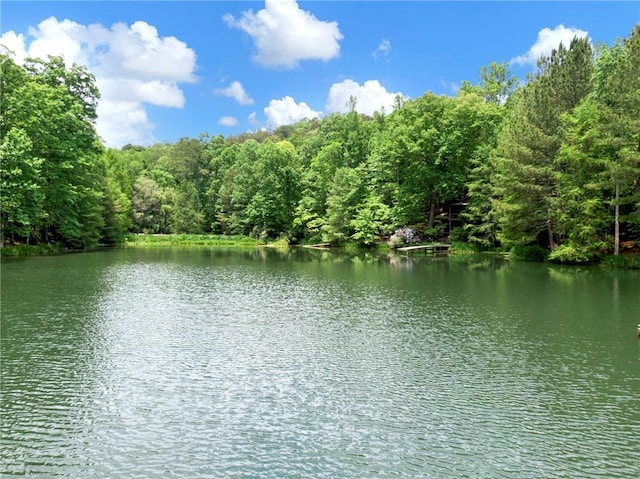 view of water feature