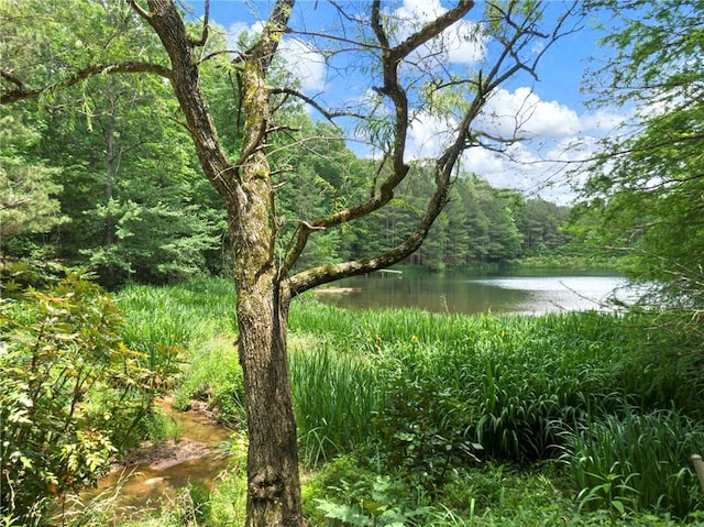 view of water feature