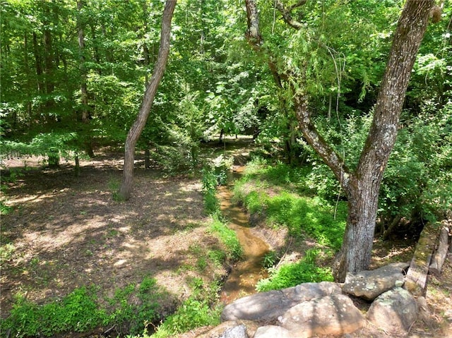 view of local wilderness featuring a water view