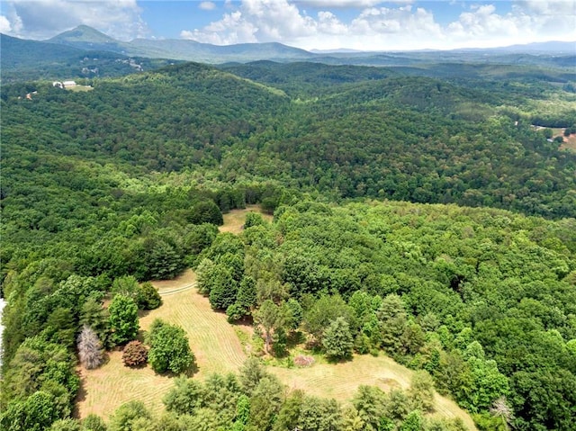 birds eye view of property featuring a mountain view