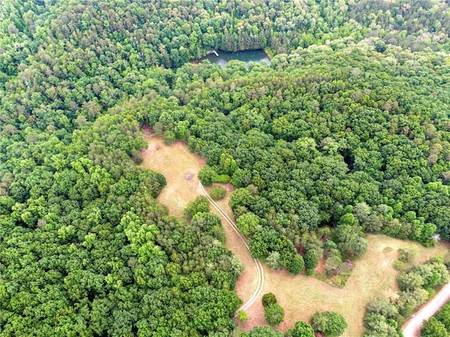 view of bird's eye view