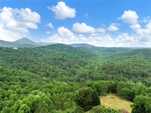 view of mountain view