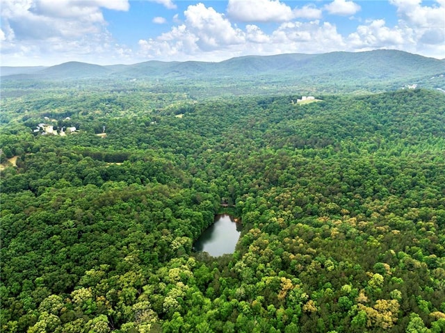 birds eye view of property featuring a water and mountain view