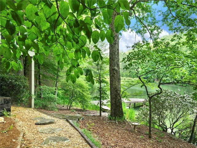 view of home's community featuring a water view