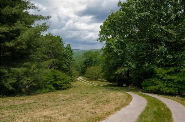 view of nearby features featuring a yard