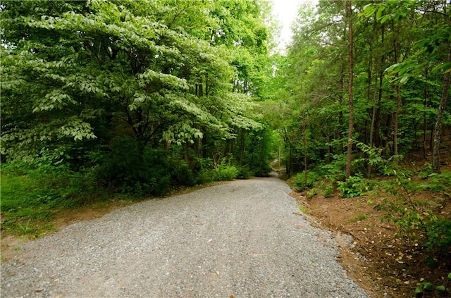 view of road