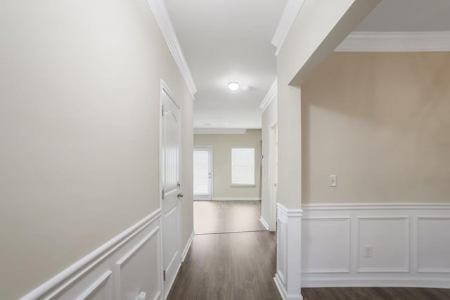 corridor with dark wood-type flooring, a wainscoted wall, crown molding, and a decorative wall