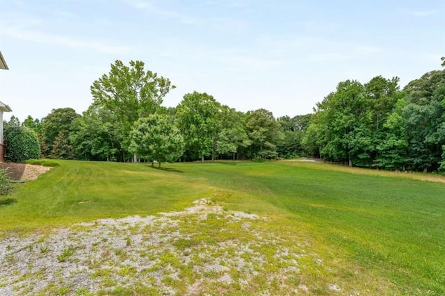 833 Hines Rd, Moreland, GA 30259 - view of green lawn