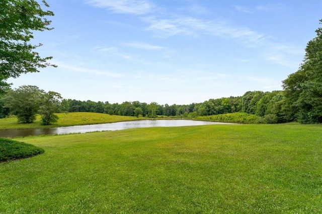 833 Hines Rd, Moreland, GA 30259 - view of home's community featuring a water view, a lawn, and a view of trees