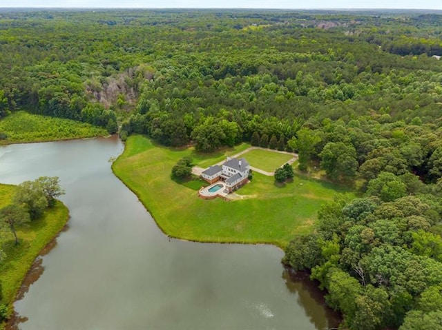 833 Hines Rd, Moreland, GA 30259 - bird's eye view of a heavily wooded area and a nearby body of water