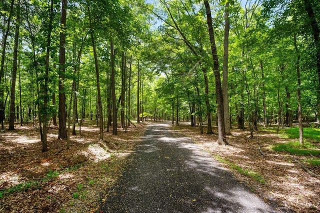 833 Hines Rd, Moreland, GA 30259 - view of street with a wooded view