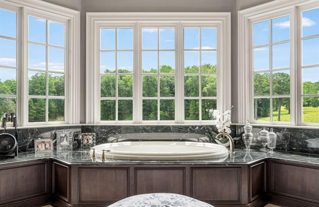 833 Hines Rd, Moreland, GA 30259 - bathroom featuring a garden tub, healthy amount of natural light, and tasteful backsplash